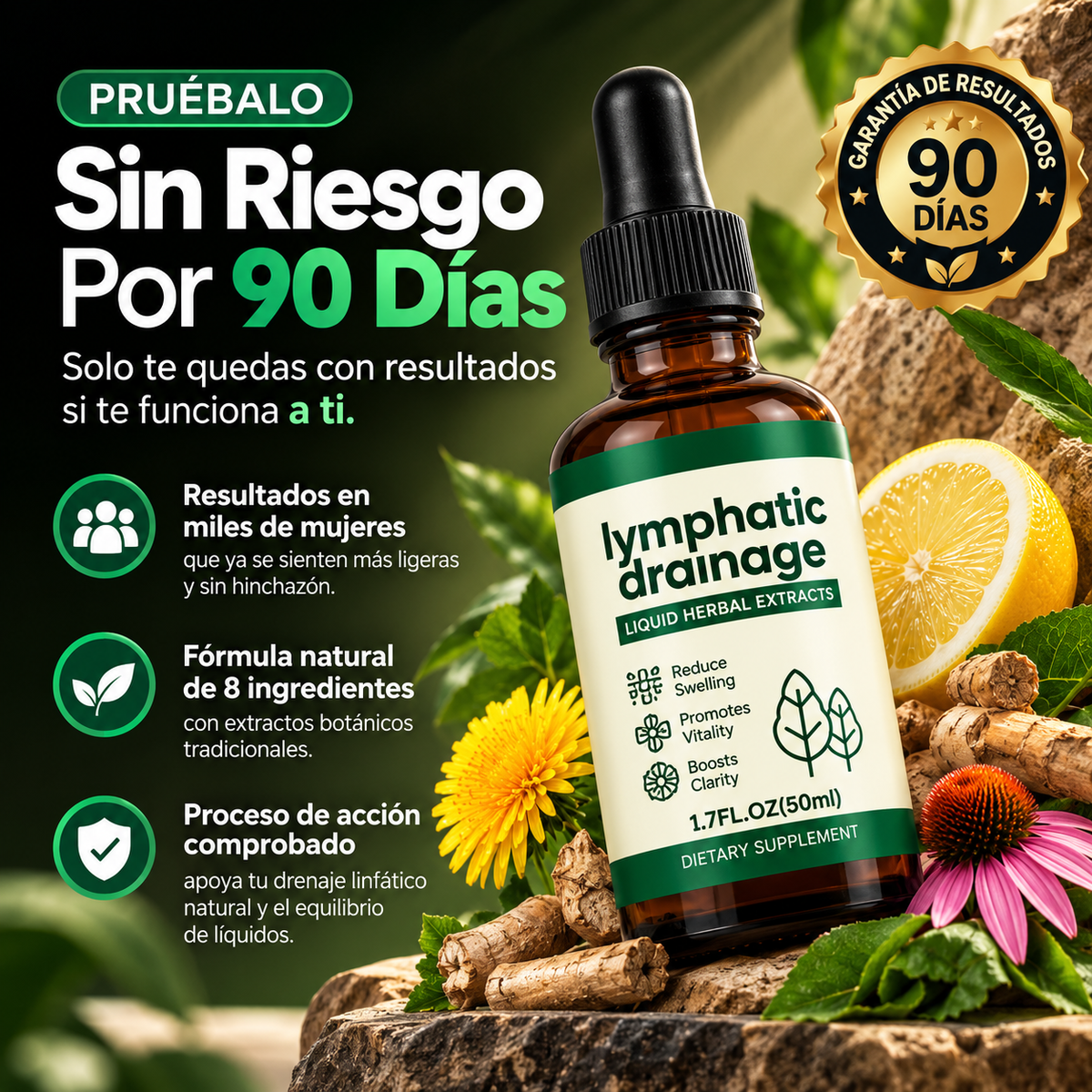 Drenaje linfatico lymphatic drainage