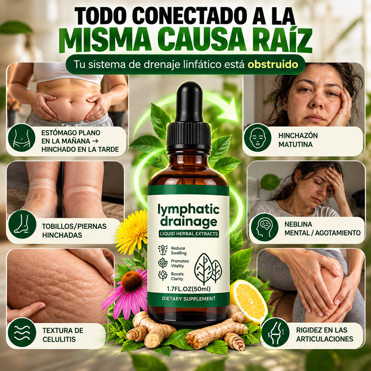 Drenaje linfatico lymphatic drainage
